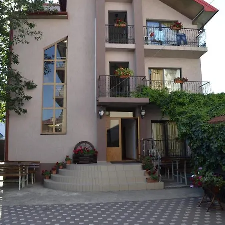 Martiniuc Smart House 2 3* Costinesti